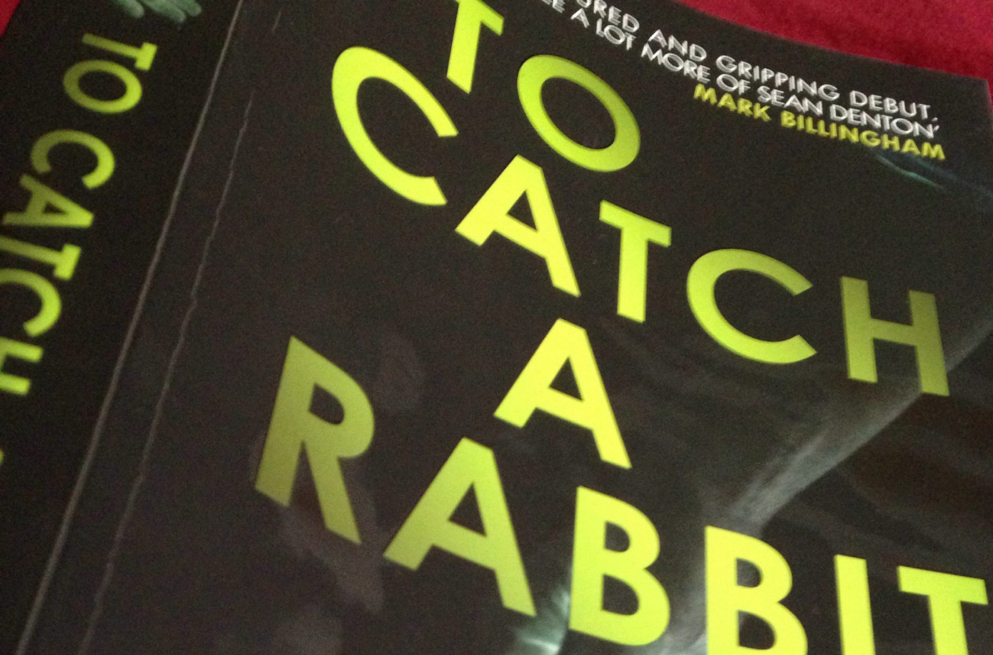 Review: To Catch a Rabbit by Helen Cadbury - The State Of The Arts ...