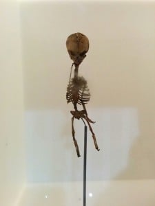 HEmadian14