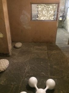 IMG_2369