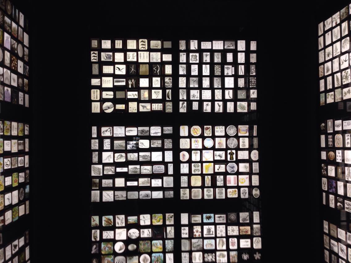 Object Lessons @ Manchester Museum - The State Of The Arts : The State ...