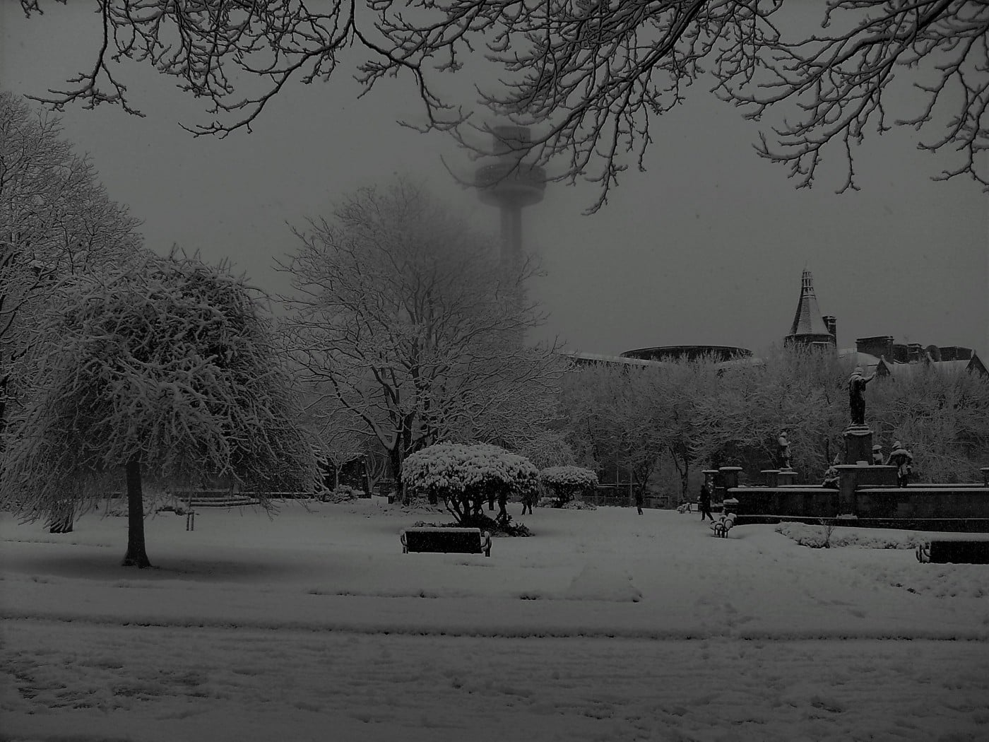 Liverpool_Snow_Jan_05_2010_(25)
