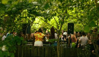 Crowd at Green Island festival