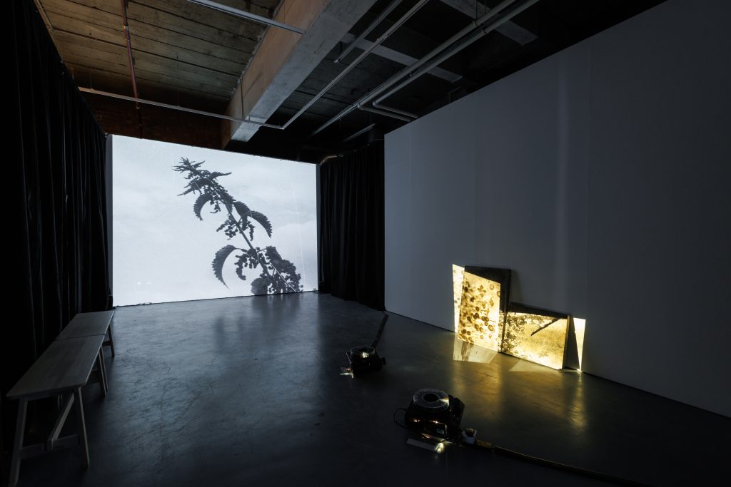 Image of the projections Joanna Byrne uses in her installation.