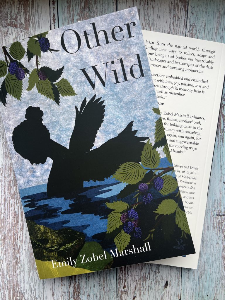 Cover of the book Other Wild by Emily Zobel Marshall, shown on a rustic wooden surface. The cover features a silhouetted bird with outstretched wings over water, surrounded by green leaves and clusters of dark berries, with a blue and white textured sky in the background. A partially open page with printed text is visible behind the book.
